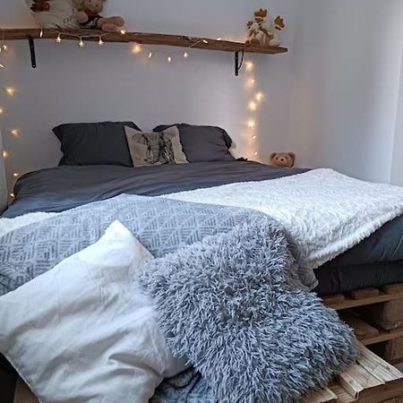 דירות טראר T2 Ultra Cosy En Hypercentre מראה חיצוני תמונה