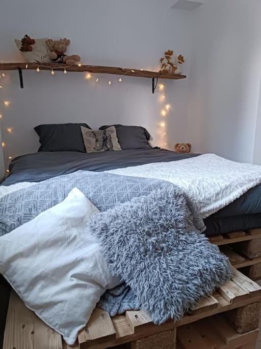 דירות טראר T2 Ultra Cosy En Hypercentre מראה חיצוני תמונה